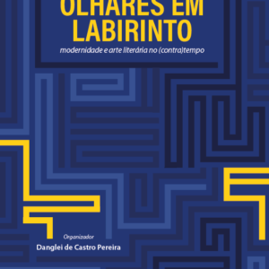 Olhares em Labirinto: modernidade e arte literária no (contra)tempo