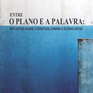 ENTRE O PLANO E A PALAVRA:  REFLEXÕES SOBRE LITERATURA, CINEMA E OUTRAS ARTES