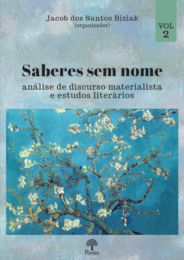 Saberes sem nome: análise de discurso materialista e estudos literários - Volume 2