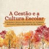 A Gestão e a Cultura Escolar: incidentes críticos e narrativas, no contexto da escola pública municipal de São Paulo