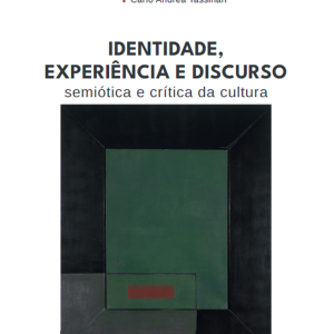 Identidade, experiência e discurso: semiótica e crítica da cultura