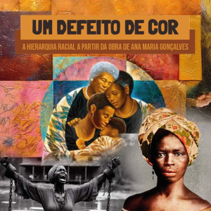 Um defeito de cor: a hierarquia racial a partir da obra de Ana Maria Gonçalves
