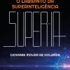O labirinto da superinteligência chegaremos a singularidade tecnológica?