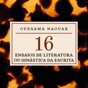 Dezesseis ensaios de literatura ou ginástica da escrita